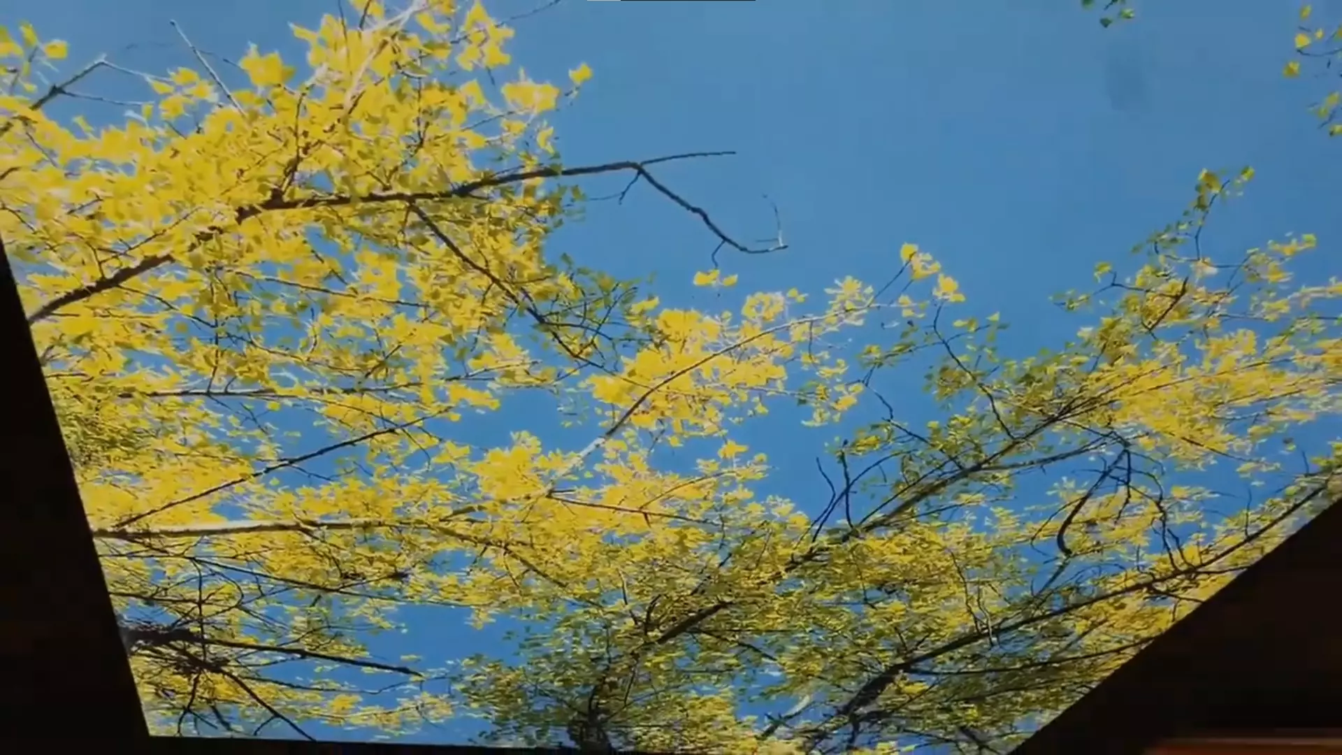 Мариуполь, Ленина, 26, фото 2