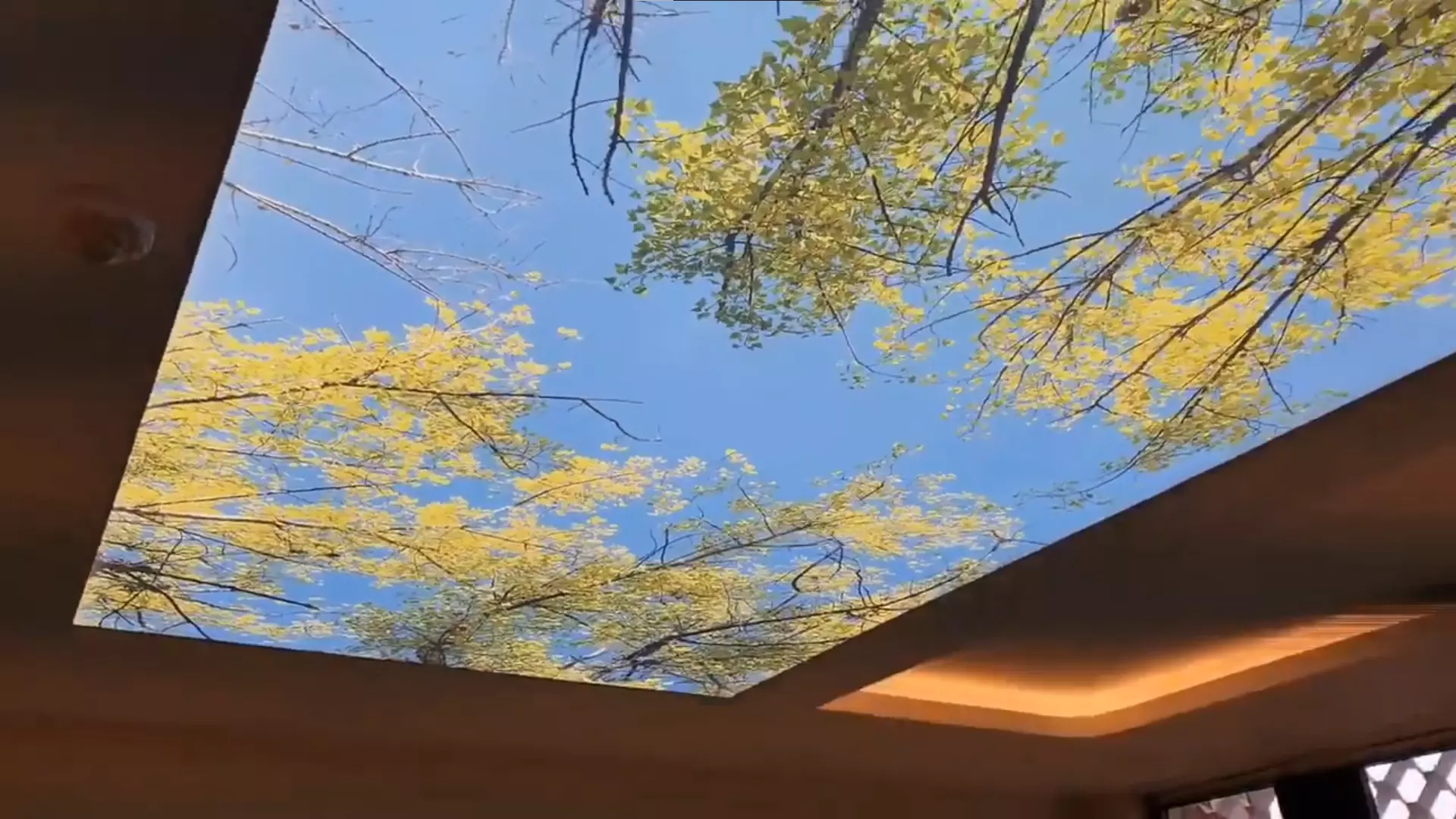 Мариуполь, Ленина, 26, фото 3